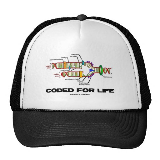 Coded For Life (DNA Replication) Mesh Hat