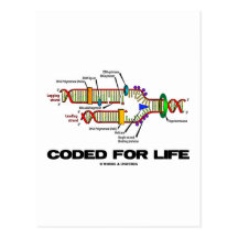 Coded For Life (DNA Replication) Postcard