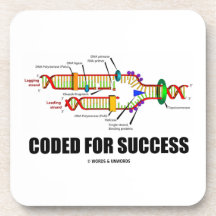 Coded For Success (DNA Replication) Beverage Coaster