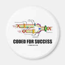 Coded For Success (DNA Replication) Magnets