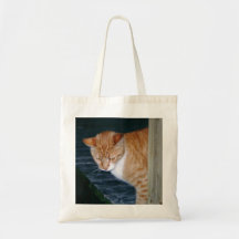 Cody the Cat  Curious Bag