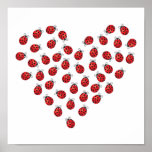 Coeur d'amour de coccinelle affiche