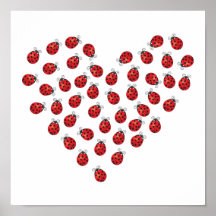 Coeur d'amour de coccinelle affiche