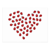 Coeur d'amour de coccinelle cartes postales