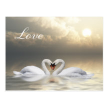 Coeur de cygnes carte postale