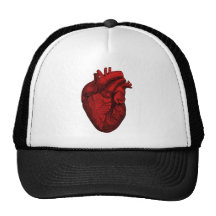 Coeur humain anatomique casquettes