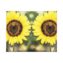 Coeurs de tournesol dans l'amour toiles tendues