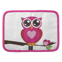Coeurs mignons d'amour de hibou organiseur