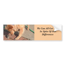 Coexistence Bumper Stickers