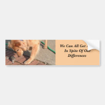 Coexistence Bumper Stickers