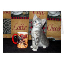 Coffe, Tea, or Meow Cards