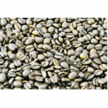 Coffee Beans Background Photo Sculptures