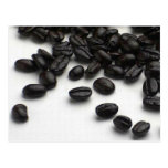 Coffee Beans Post Cards