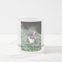Coffee break with bracco italiano mugs