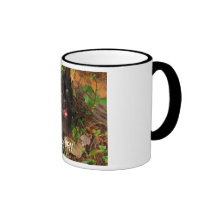 Coffee Cup- kitten yelling wake up Coffee Mugs
