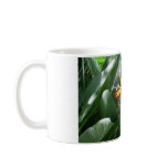 Coffee Mug Bird Of Paradise
