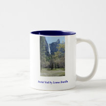 Coffee Mug - Bridal Veil Falls