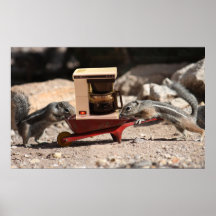 Coffee Squirrels Poster