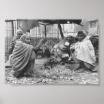 Cohort Print
