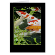 Coi swimming a water garden greeting cards