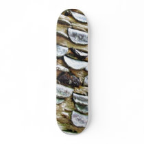 Coins Hammered Into A Trunk Skate Board Deck