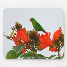 Colasisi de Mousepad-Perroquet, vert et orange Tapis De Souris