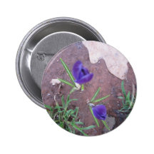 Colburn LiL'Purple Flower Pin