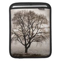 cold and lovely ipad sleeves