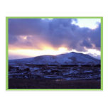 Cold Bay Buildings Postcard