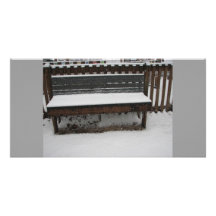 cold bench personalized photo card