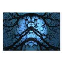 Cold Breeze Photo Print
