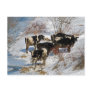 Cold Cows Postcard