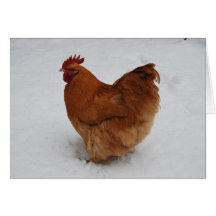 Cold feet cards