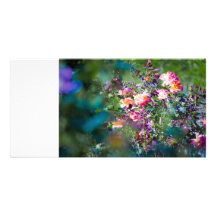 Cold Flowers Photo Greeting Card