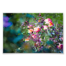 Cold Flowers Photographic Print