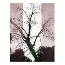 Cold Hope Post Cards