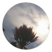 Cold Light of Morning Sticker