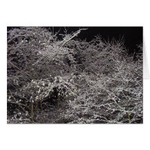 Cold Winter's Night Note Card