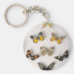 Colection-of-butterflies, keychain