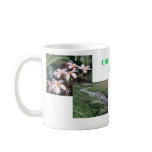 Cole's Photo Shop Mug