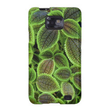 Coleus Plant Leaves Solenostemon Scutellarioides Samsung Galaxy SII Case
