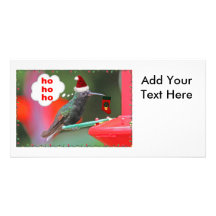 Colibri de Noël avec le bas de Noël Carte Avec Photo