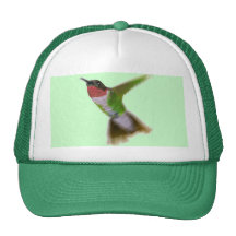 Colibri de vol casquette de camionneur