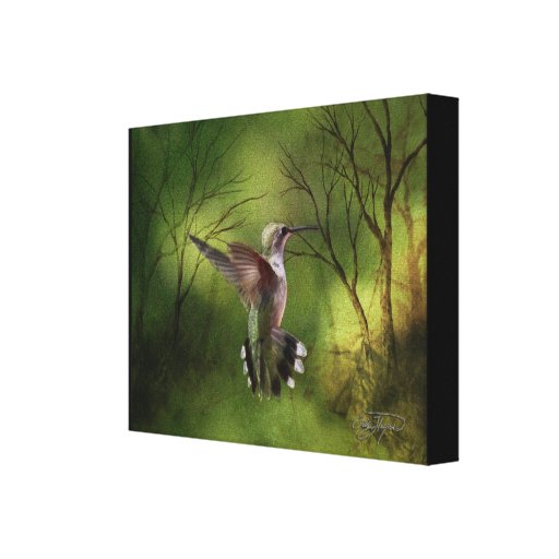 Colibri d'enveloppe de toile en vol toiles tendues