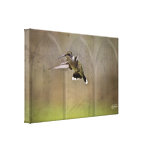 Colibri d'enveloppe de toile - l'ange s'envole la  toile tendue