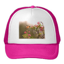Colibri et fleurs casquettes