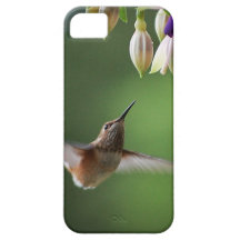 Colibri et usine de Fushia Coque iPhone 5 Case-Mate
