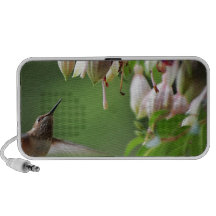 Colibri et usine de Fushia Haut-parleurs iPod