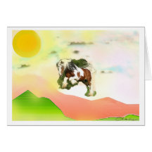 Colin Barclay Pony Card