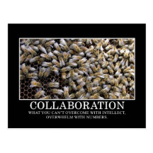Collaboration Improves Your Chance of Success Post Card